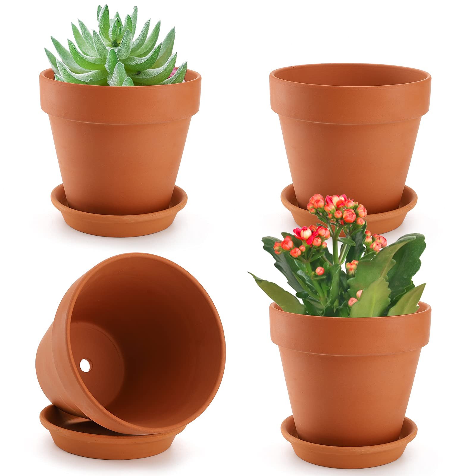 Plant Support